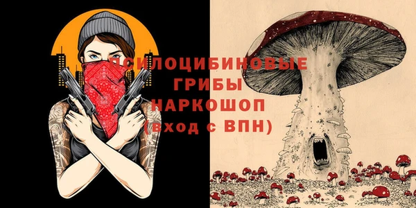 прущие грибы Абдулино